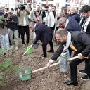 İsrail'in saldırılarında şehit olan Filistinli 273 gazeteci anısına Ankara'da fidan dikildi