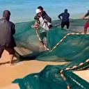 Sumud Filosu dikkatleri dağıttı: Gazzeliler balık tuttu