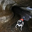 Chine: des chiens robots testés pour l’exploration souterraine de la Lune