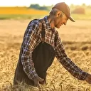 Bakanlık müjdeyi duyurdu: Destekleme ödemeleri hesaplara yatırılıyor