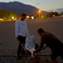 Oltayla 60 kiloluk balık yakalayıp gelirini kimsesiz çocuklara bağışladılar