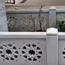 Kadir Mısıroğlu’nun mezarı başında İzmir Marşı açarak küfürler savurdu