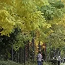 Meteorolojiden uyarı: Sıcaklıklar mevsim normallerin üzerinde seyredecek