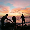 'Müsilajın balıkların üreme sistemine doğrudan etkisi yok': Dipteki mercan, pina, midye ve alglere zararı oldu