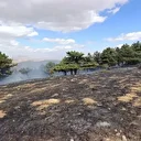 Konya'da orman yangını kontrol altında