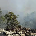 Diyarbakır'da çıkan örtü yangınına müdahale ediliyor