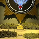 Malatya’da uyuşturucu operasyonu: Bir kişi gözaltına alındı