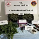 Adana’da 10 kilodan fazla esrar ele geçirildi
