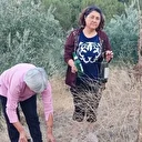 Sarıgöllü çiftçiler zeytinliğe atılan alkol şişeleri yüzünden isyan etti: 'Bıktık artık zeytinden önce şişe topluyoruz'