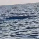 Karadeniz kıyılarında tedirgin eden cisim: İnceleme başlatıldı