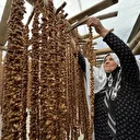 Elazığ'ın tescilli lezzeti "orcik"in yapımına başlandı