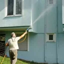 Kahverengi kokarca istilası vatandaşları tedirgin ediyor