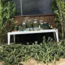 Bursa’da 9 kilo 400 gram esrar ele geçirildi: Bir kişi gözaltına alındı