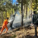 Sarıkamış'ta çıkan orman yangınında yaklaşık 1,5 hektar alan zarar gördü