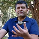 Karabük'te akılalmaz olay: Mantar toplamaya çıktı göktaşı buldu