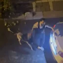 Bahçelievler’de dehşet: Pitbull cinsi köpek sahibine saldırdı