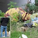 'Ceset' paniği: Tüm ekipler seferber oldu