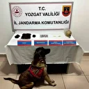 Arama yapılan evde uyuşturucu madde ele geçirildi