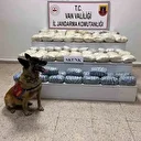 Van'da 47 kilo 800 gram skunk ele geçirildi