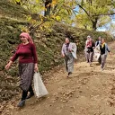 Kadınlar topluyor, özel kuyularda 15 gün bekletiliyor: Dağlarda zorlu hasat başladı