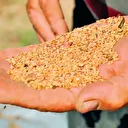 Kadıköy’ün yeni lezzet durakları