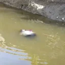 Su dolu çukurda kadın cesedi bulundu