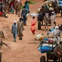 أطباء السودان: نزوح 642 شخصا من الفاشر للولاية الشمالية خلال ساعات