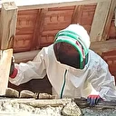 Evin çatısına yuva yapan eşek arıları hastanelik etti