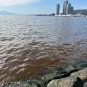 İzmir Körfezi'nde kötü koku sürüyor: Denizin rengi kahverengiye döndü