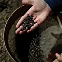 Parçalanmış küpün içinden çıktı: Laboratuvar ortamında incelenecek! Tam 5 bin yıllık