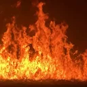 Kuş cenneti Nehil Sazlığı’nda yangın: Rüzgarın etkisiyle büyüyerek yerleşim yerlerini tehdit ediyor