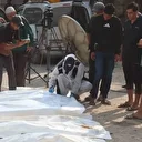 Gazze’de defnedilen cenazeler kimlik tespiti için mezarlardan çıkarılıyor