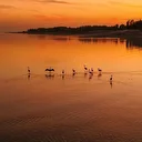 Van Gölü’nde gün batımı büyüledi: Kızın tonlar kartpostallık görüntüler oluşturdu