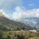 Hatay'da orman yangını: Ekipler çalışma başlattı