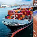 Doğu Karadeniz'in 10 aylık Türk somonu ihracatı 152 milyon doları aştı