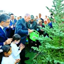 Bir yılda 600 milyon fidan