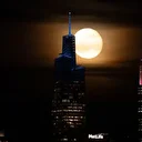 ‘Kunduz Ayı’ New York semalarında büyüledi