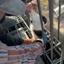 Adıyaman’da kedi beton altında kalmaktan son anda kurtarıldı