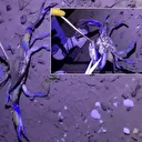 Samsun sahilinde nadir misafir: Mavi yengeç kıyıya vurdu