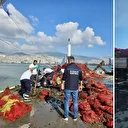 Bakanlık düğmeye bastı: Kaçak avlanan 27 ton midye ele geçirildi