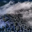 Sarıçiçek Yaylası’nda kar ve sis etkili oldu