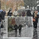 Sivas kent merkezinde kar yağışı etkili oldu