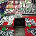 Hamsi denizlerde yüzünü gösterdi tezgahlarda fiyatını korudu