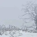 Ordu’nun yükseklerinde kar yağışı