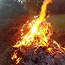 Milas’taki orman yangınları büyümeden söndürüldü