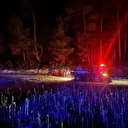 Muğla’da orman yangını: Ekiplerin müdahalesiyle kısa sürede söndürüldü