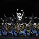 Troya Amerika Yolcusu