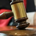 Mahkemeden emsal karar: Kediye nafaka bağlandı