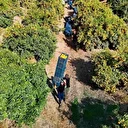 Tarım işçilerinin grevi mandalinayı dalında bıraktı: Kilosu 3 liraya kadar geriledi