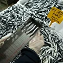 Balık tezgahlarına yakın markaj: 109 kişi ve işletmeye 2,5 milyon TL ceza